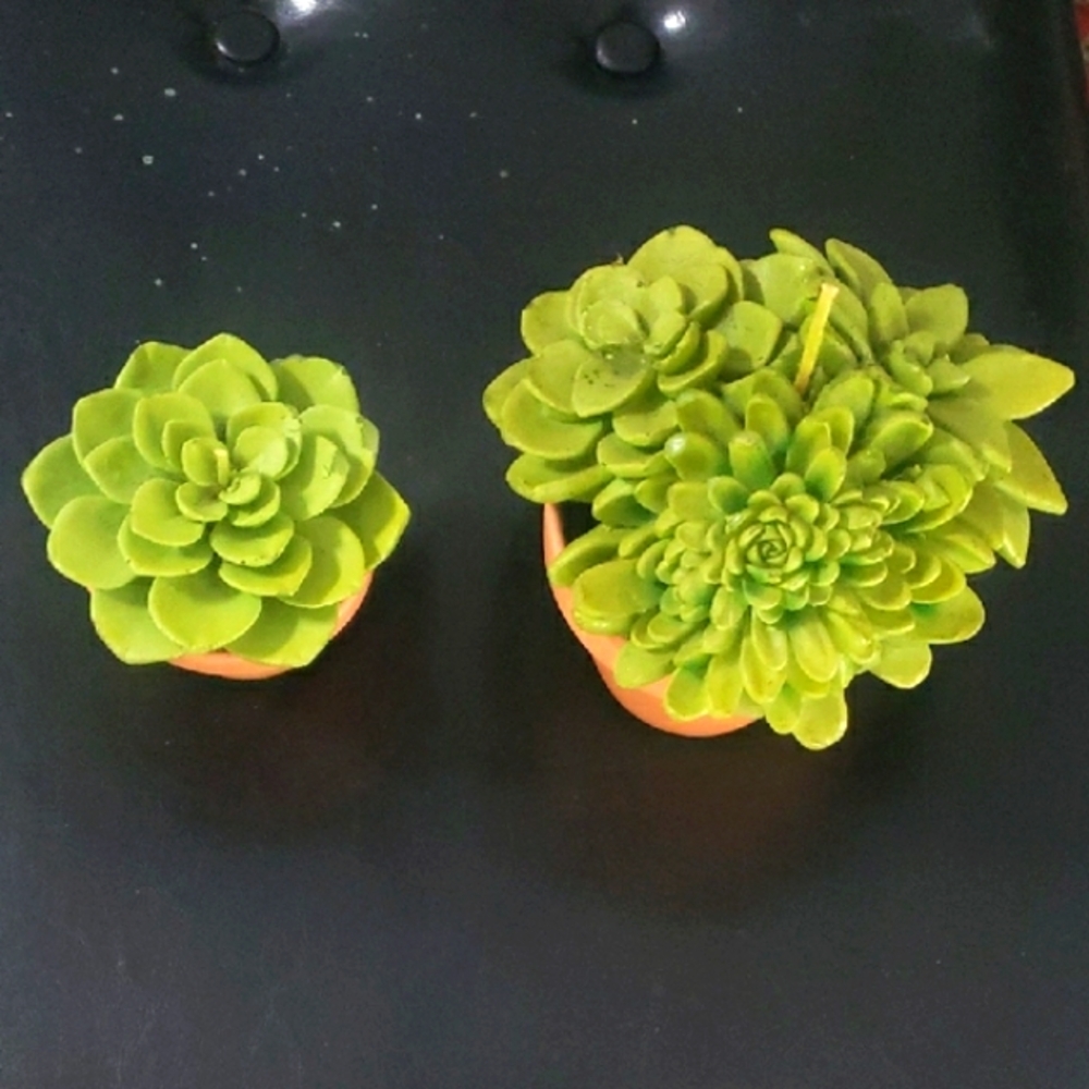 Vintage set of candles "Green Succulent Plants in pots" look a like